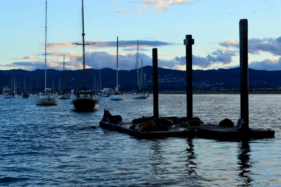 Morro Bay, CA (Unedited)