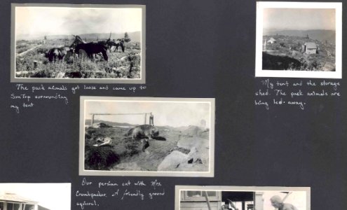 Sun Top Lookout, 1943