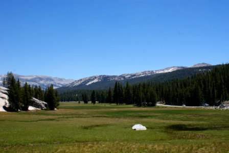Yosemite National Park, California