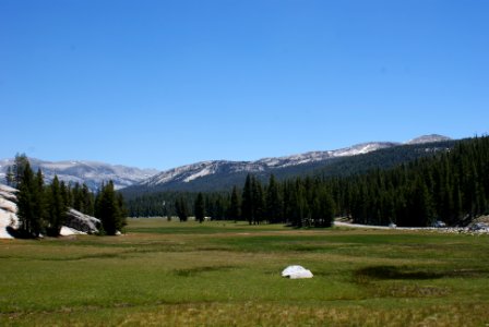 Yosemite National Park, California photo