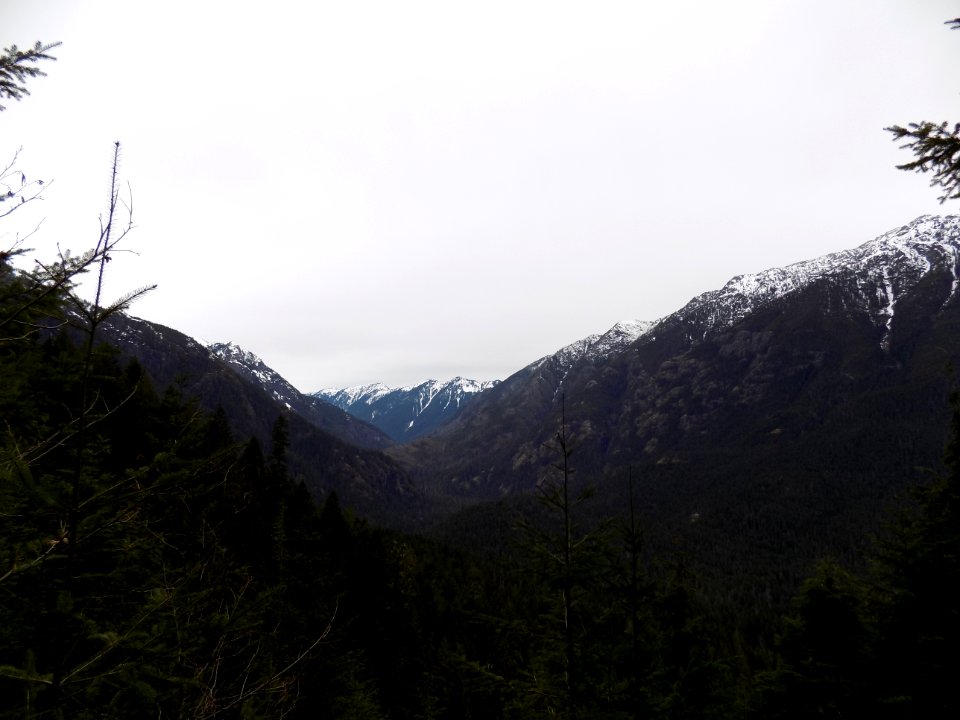Hamma Hamma Drainage March 2017, Olympic National Forest
