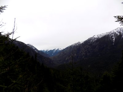 Hamma Hamma Drainage March 2017, Olympic National Forest