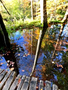 #Plitvicka jezera National park. It’s incredible. #Croatia. #十六湖國家公園 #克羅埃西亞