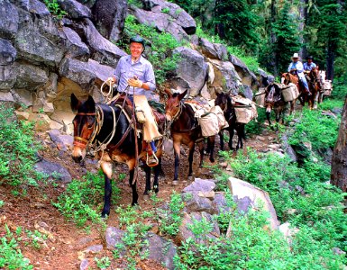 Recreation, Mule Packing, Trail to Koko Lakes