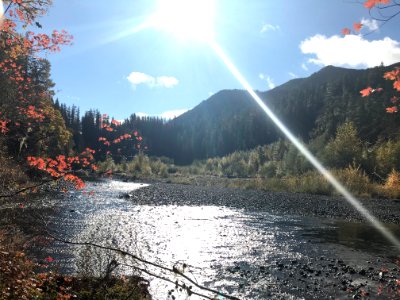20171010 Olympic South Fork Skokomish River. (USDA Forest Service photo)
