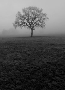 P1350567
