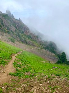 201908029 Olympic Upper Mt Ellinor Trail. (USDA Forest Service photo)