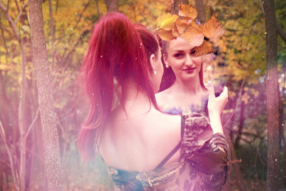 Story forest reflection