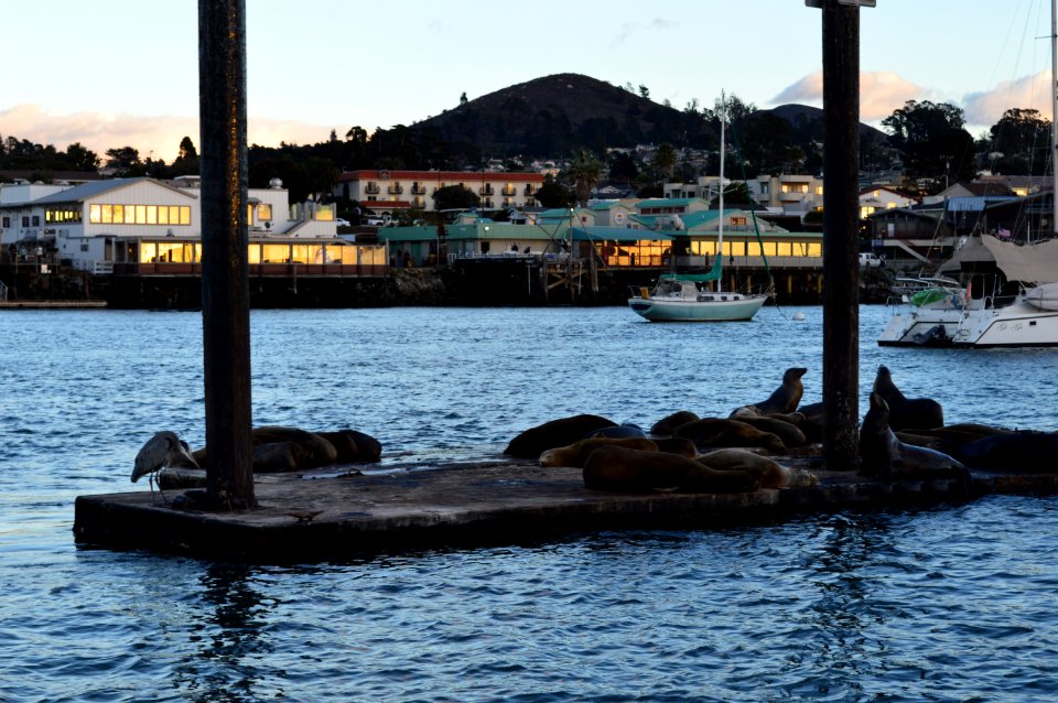 Morro Bay, CA (Unedited)