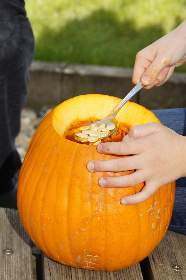Halloween autumn orange