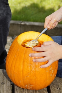Halloween autumn orange