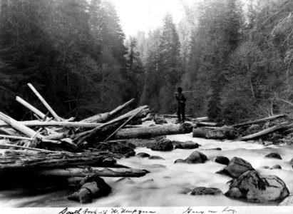 Umpqua NF - South Fork of North Umpqua, OR c1910 photo