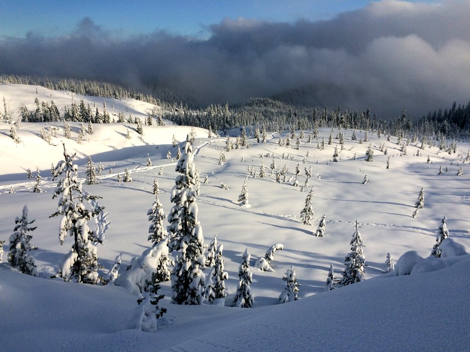 Mount Adams and Adams Glacier from above High Camp, Mount Adams Wilderness on the Gifford Pinchot National Forest