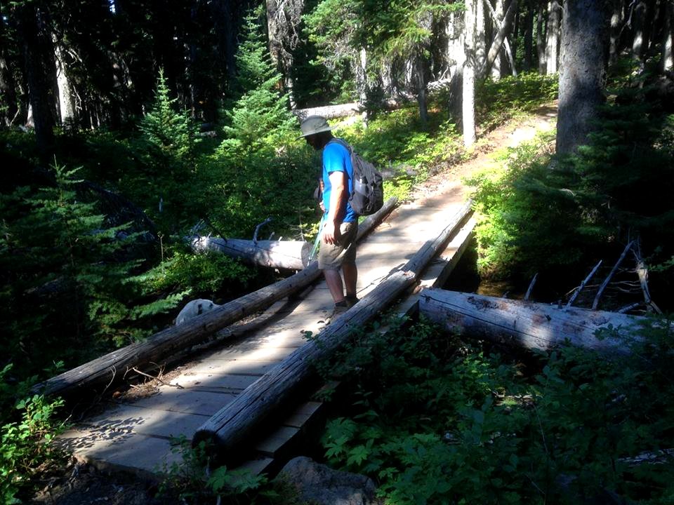 Trail bridge in Badger Creek Wilderness, Mt Hood National Forest