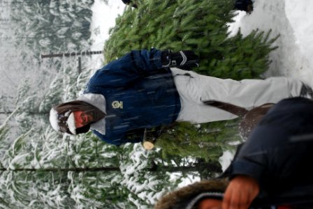 Man carrying Christmas Tree in Snow Storm, Mt Hood National Forest