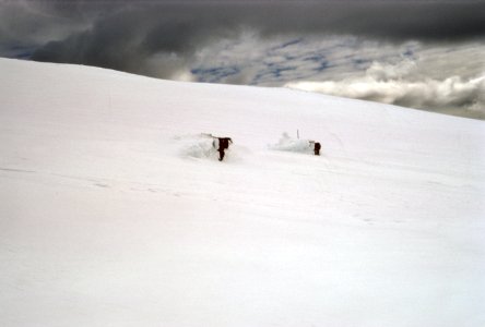 468 Silcox hut buried in record high snowfall in March 1972