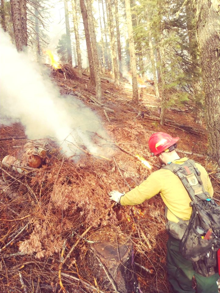Pile burning at Rogue River-Siskiyou National Forest