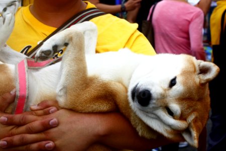 Taiwan LGBT Pride 2015