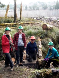 2020 February Olympic WTA and BCH volunteers work on Bogachiel Trail. Photos courtesy of Washington Trails Association. Washington Trails Association and Backcountry Horsemen volunteers provide critical mainenance to Olympic National Forest & Park trails.