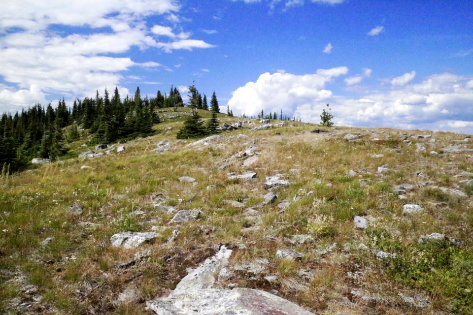 Ridge walking atop the Purcell Mountains, Idaho Panhandle National Forests