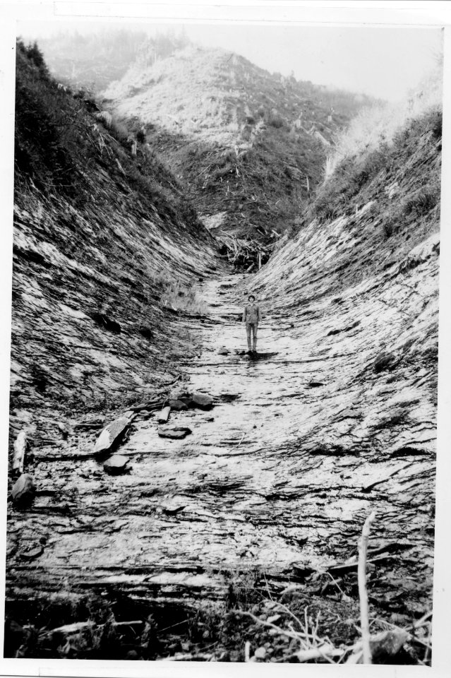 Siuslaw NF - Stream Washout, OR c1990