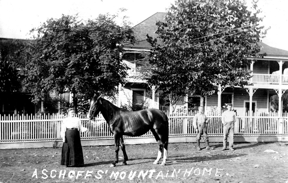 Aschoffs' Mountain Home, OR 1909
