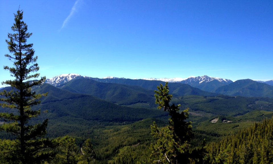 Snow-capped peaks in Olympic National Park from the PNT on the west side of Mt Zion, Olympic National Forest