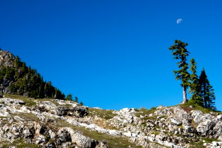 Midday moon above the Pacific Northwest Trail in the Mt Baker National Forest