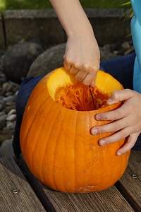 Halloween autumn orange photo