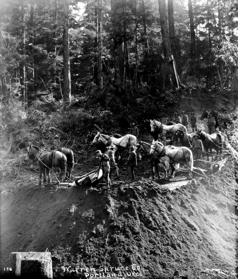 186 Grading with Scapers, Camp 2-F Near Waldport