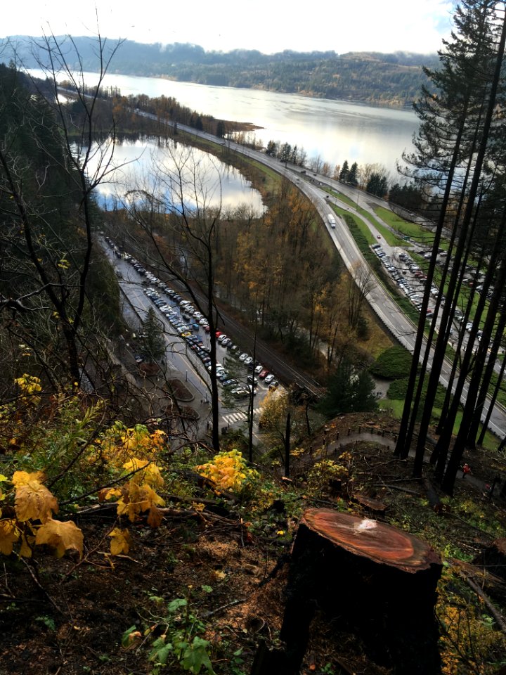20181205 CRGNSA LarchMtn Wahkeena loop by Alexa Pengelly
