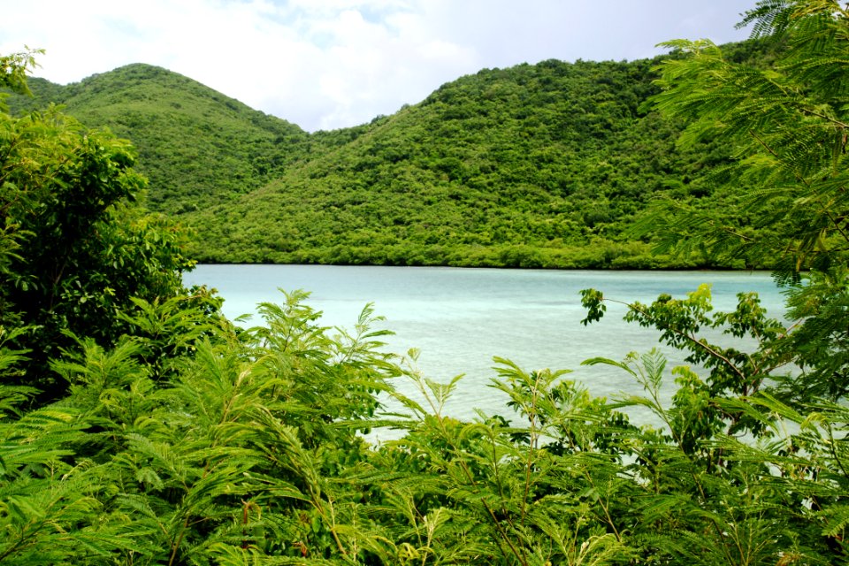 St John, US Virgin Islands