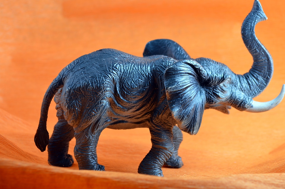 Elephant toys children