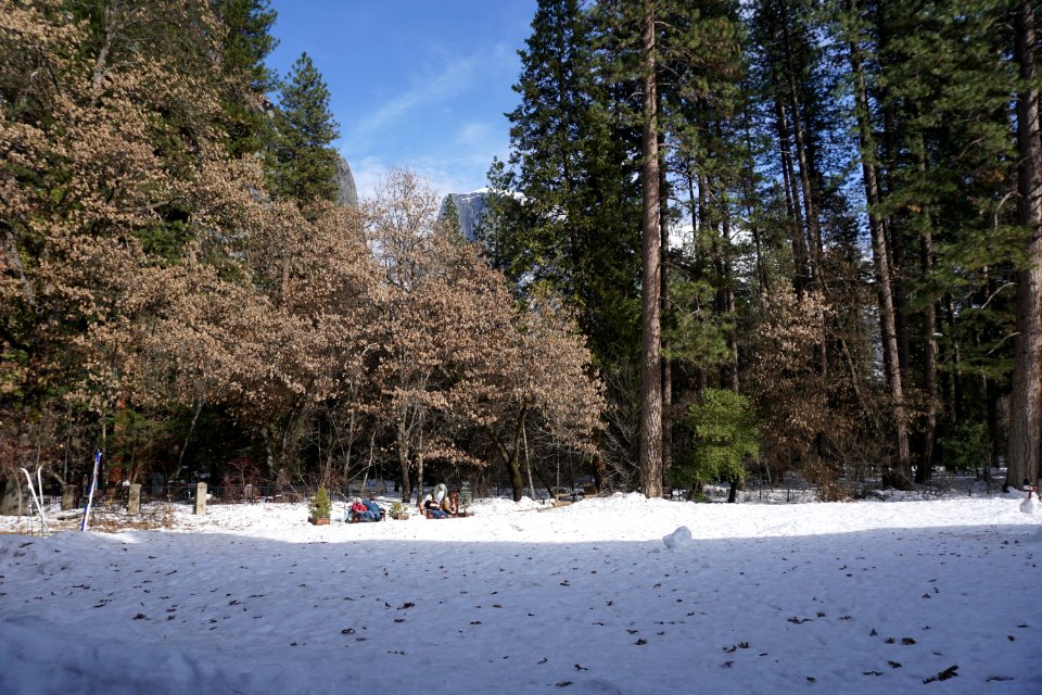Yosemite Valley, CA (Unedited)