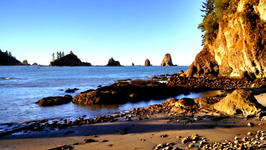 Quiet morning in a secluded cove near Third Beach in Olympic National Park
