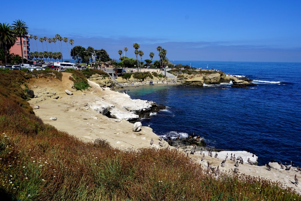 La Jolla Cove, CA (Unedited)
