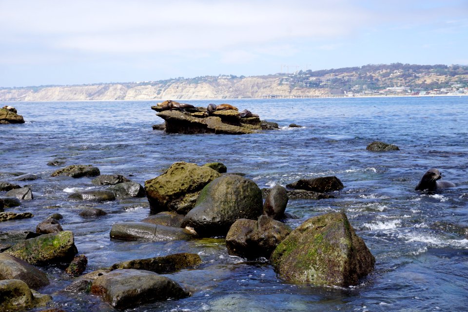 La Jolla Cove, CA (Unedited)