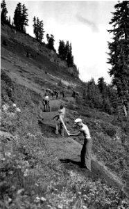 318776 CCC Trail Construction, Rainier NP, Columbia NF, WA 1935