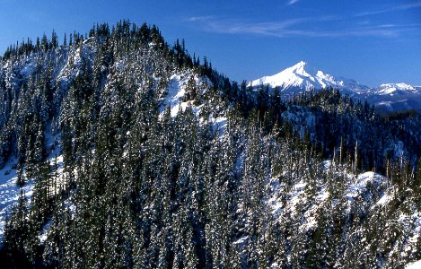 Mt Jefferson in Winter, Willamette National Forest photo