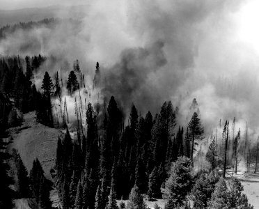 Lookout Mtn Fire, W-W NF, OR 1967 c photo