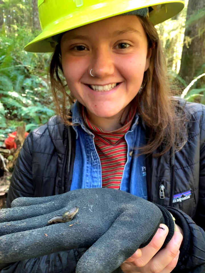 201910 Olympic  A forest biologist holds a snail during a mollusk survey. USDA photo by Karen Holtrop
