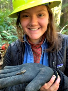 201910 Olympic  A forest biologist holds a snail during a mollusk survey. USDA photo by Karen Holtrop