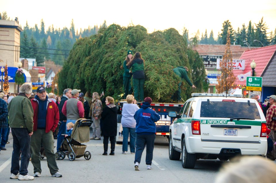 2013 Capitol Christmas Tree- Newport  Washington