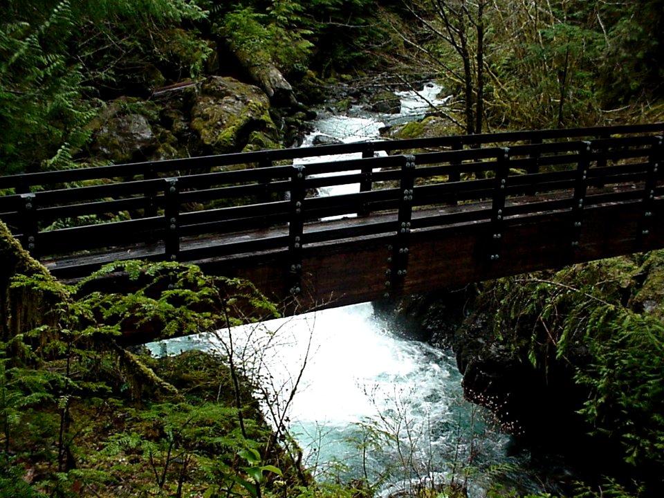 Wynoochee maidenhair falls bridge