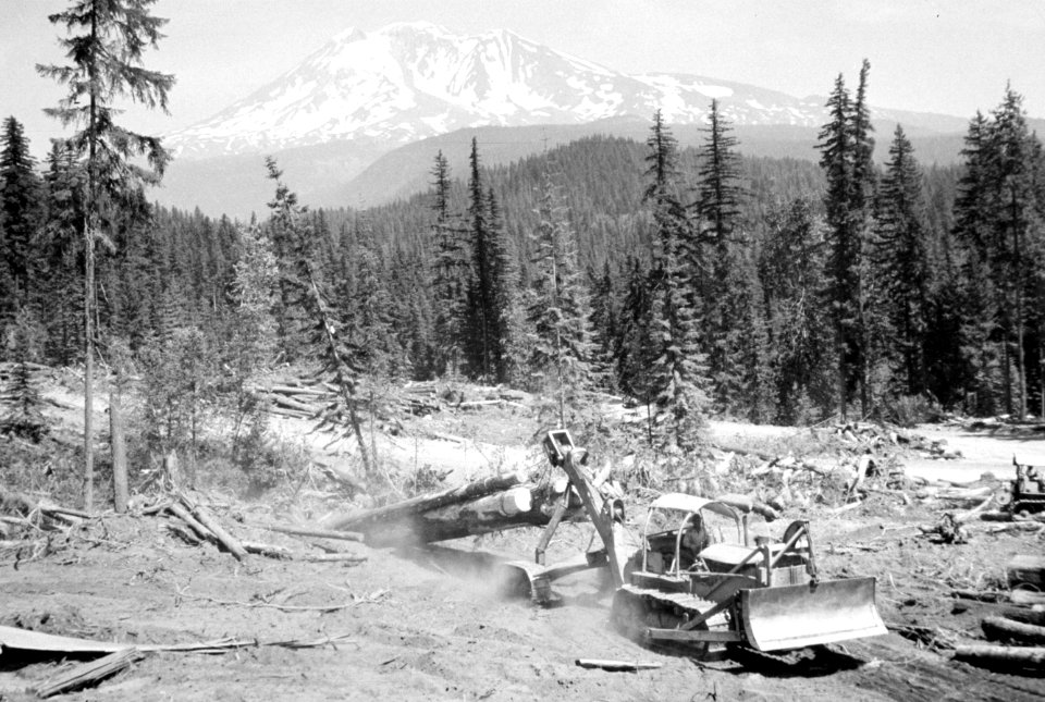 257 cat logging near Mt Adams, Gifford pinchot Nat'l Forest