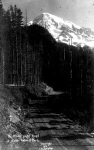 The Government Road Rainier NP 1910