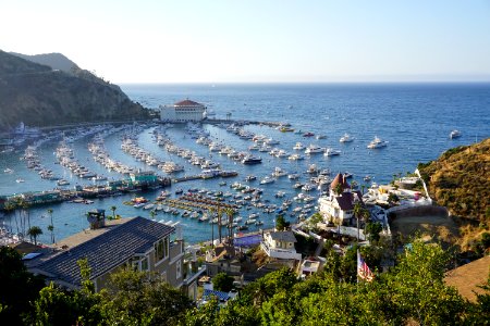 Catalina Island, CA (Unedited)