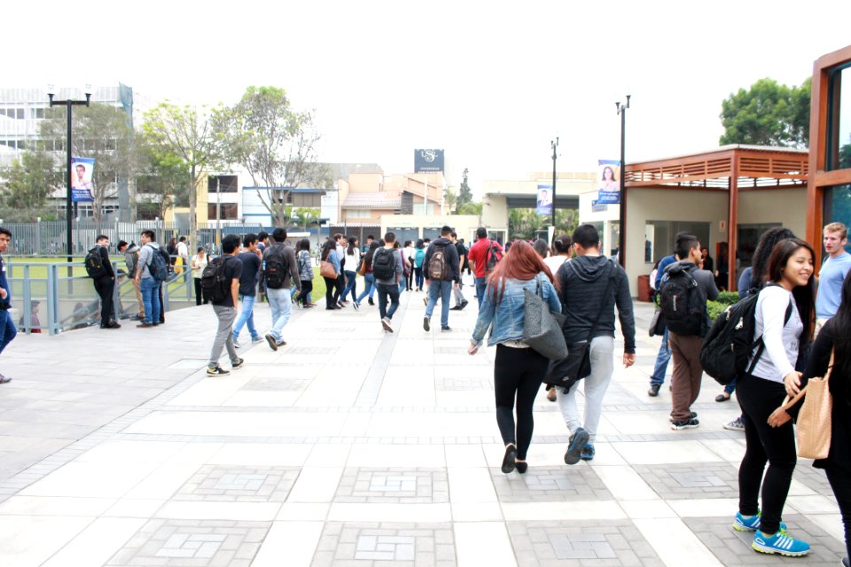 Vida universitaria