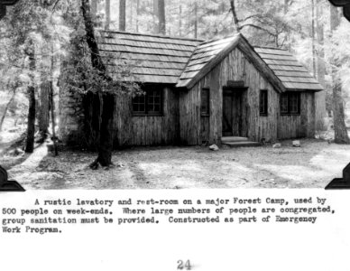 Toilet Facility in a Forest Camp