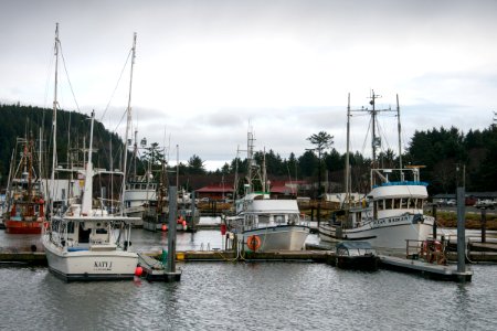Harbor in La Push, Washington